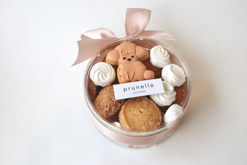 ミニクッキーBOX -トイプードル-